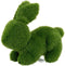 Decoratieve figuren Decoratieve figuren Polypropyleen Astro-turf Konijnenvlees 22 x 40 x 30 cm