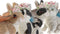 Decoratieve figuren DKD Home Decor 11 x 13 x 15 cm dieren (4 Stuks)