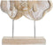Decoratieve figuren DKD Home Decor 36 x 11 x 63 cm Natuurlijk Boeddha Decapé