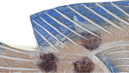 Decoratieve figuren DKD Home Decor 40 x 5 x 18 cm Natuurlijk Blauw Vis Mediterrane