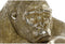 Decoratieve figuren DKD Home Decor Gouden Hars Gorilla (33 x 33 x 43 cm)