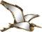 Decoratieve figuren DKD Home Decor Gouden Vogel 35,5 x 26 x 2 cm