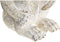 Decoratieve figuren DKD Home Decor Hars Aap (16 x 15 x 30 cm)