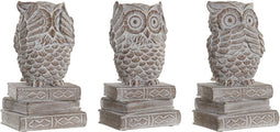 Decoratieve figuren DKD Home Decor Hars Uil (3 pcs) (11 x 11 x 20 cm)