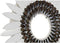 Decoratieve figuren DKD Home Decor Ijzer Schelpen (40 x 12 x 56 cm)