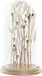 Decoratieve figuren DKD Home Decor Kristal (18 x 18 x 32 cm)