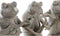 Decoratieve figuren DKD Home Decor Muzikant/Musicus Bruin Hars Kikker Shabby Chic (23 x 19,5 x 22,5 cm) (3 Stuks)