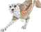 Decoratieve figuren DKD Home Decor Oranje Wit Luipaard Hars (37 x 10 x 13 cm)