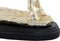 Decoratieve figuren DKD Home Decor Paard Zwart Gouden Hars (30 x 11,5 x 26 cm)