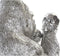 Decoratieve figuren DKD Home Decor Ziverachtig Hars Gorilla (38,5 x 33 x 43,5 cm)