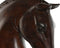 Decoratieve figuren Home ESPRIT Multicolour