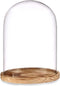 Decoratieve figuren Koepel Kristal Hout (22,5 x 28 x 22,5 cm)