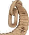 Decoratieve figuren Natuurlijk Hoorns 50 x 12 x 42 cm