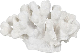 Decoratieve figuren Wit Koraal 19 x 14 x 11 cm