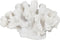 Decoratieve figuren Wit Koraal 19 x 14 x 11 cm