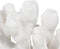 Decoratieve figuren Wit Koraal 19 x 14 x 11 cm