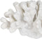 Decoratieve figuren Wit Koraal 19 x 14 x 11 cm