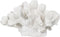 Decoratieve figuren Wit Koraal 19 x 14 x 11 cm