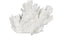 Decoratieve figuren Wit Koraal 29 x 20 x 21 cm