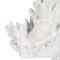 Decoratieve figuren Wit Koraal 29 x 20 x 21 cm