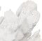 Decoratieve figuren Wit Koraal 29 x 20 x 21 cm