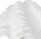 Decoratieve figuren Wit Schelp 14 x 7 x 10 cm