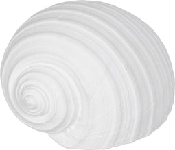 Decoratieve figuren Wit Schelp 15 x 11 x 9 cm