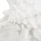 Decoratieve figuren Wit Schelp 21 x 19 x 13 cm