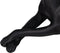 Decoratieve figuren Zwart Hond 37,5 x 13,5 x 22 cm