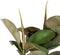 Decoratieve plant 134 cm Groen PVC Ek