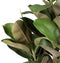 Decoratieve plant 134 cm Groen PVC Ek