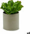 Decoratieve plant 20 x 25 x 20 cm (6 Stuks)