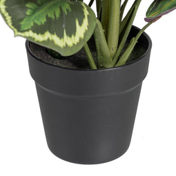 Decoratieve plant 37 x 37 x 41 cm Groen PVC