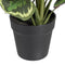 Decoratieve plant 37 x 37 x 41 cm Groen PVC