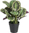 Decoratieve plant 37 x 37 x 41 cm Groen PVC