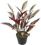 Decoratieve plant 43 x 40 x 55 cm Groen Paradijsvogel