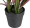 Decoratieve plant 44 x 39 x 48 cm Roze Groen PVC