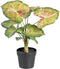 Decoratieve plant 48 x 46 x 55 cm Rood Groen PVC