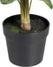Decoratieve plant 48 x 46 x 55 cm Rood Groen PVC