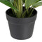 Decoratieve plant 50 x 45 x 48 cm Groen PVC