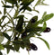 Decoratieve plant 73 x 120 x 73 cm Olijfboom Groen Plastic