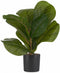 Decoratieve plant 9,5 x 42 x 9,5 cm Plastic 6 Stuks
