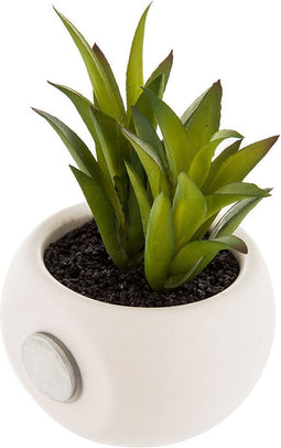 Decoratieve plant Atmosphera Magneet PVC