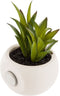 Decoratieve plant Atmosphera Magneet PVC
