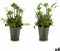 Decoratieve plant Bloemenveld Plastic 20 x 41 x 20 cm (6 Stuks)