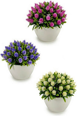 Decoratieve plant Blommor Plastic 14 x 12,5 x 14 cm (12 Stuks)