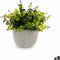 Decoratieve plant Blommor Plastic 21 x 20,6 x 21 cm (8 Stuks)