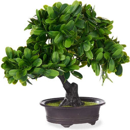 Decoratieve plant Bonsai Plastic 27 x 28 x 14 cm (8 Stuks)