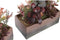 Decoratieve plant DKD Home Decor 19 x 9 x 22 cm Roze Oranje Cactus EVA-rubber Polypropyleen (2 Stuks)