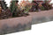 Decoratieve plant DKD Home Decor 19 x 9 x 22 cm Roze Oranje Cactus EVA-rubber Polypropyleen (2 Stuks)